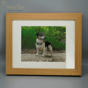 Tribute Frames – Photo Frames with Hidden Ashes Compartment