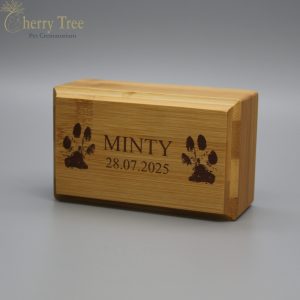 Bamboo Casket Laser 2-1