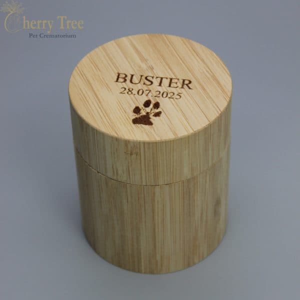 Bamboo Scatter Tube Laser 5-1