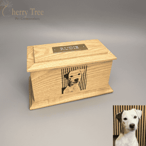 Casket Laser Engraving 17.1 Casket Laser Engraving 17.1