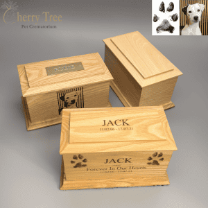 Casket Laser Engraving 19.1