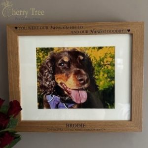 Loraine G 2-1 Loraine G 2-1