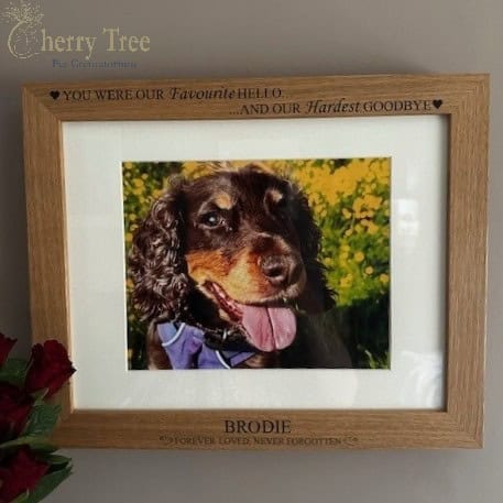 Loraine G 2-1 Loraine G 2-1