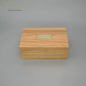 Modern WC Medium 3 Modern WC Medium 3