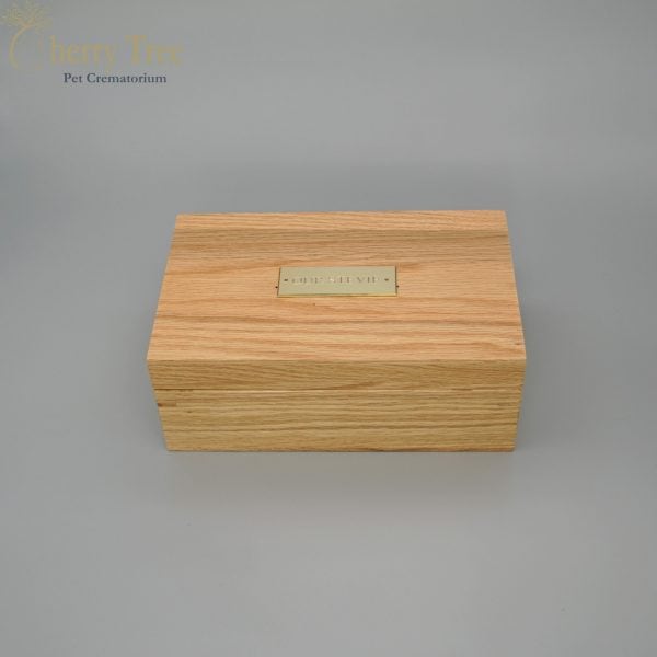 Modern WC Medium 3 Modern WC Medium 3