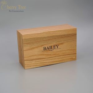 Modern WC Medium Modern WC Medium