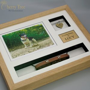 Collar & Tag Frames 2