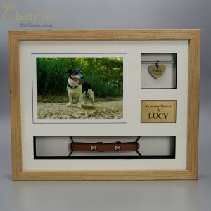 Collar & Tag Frames