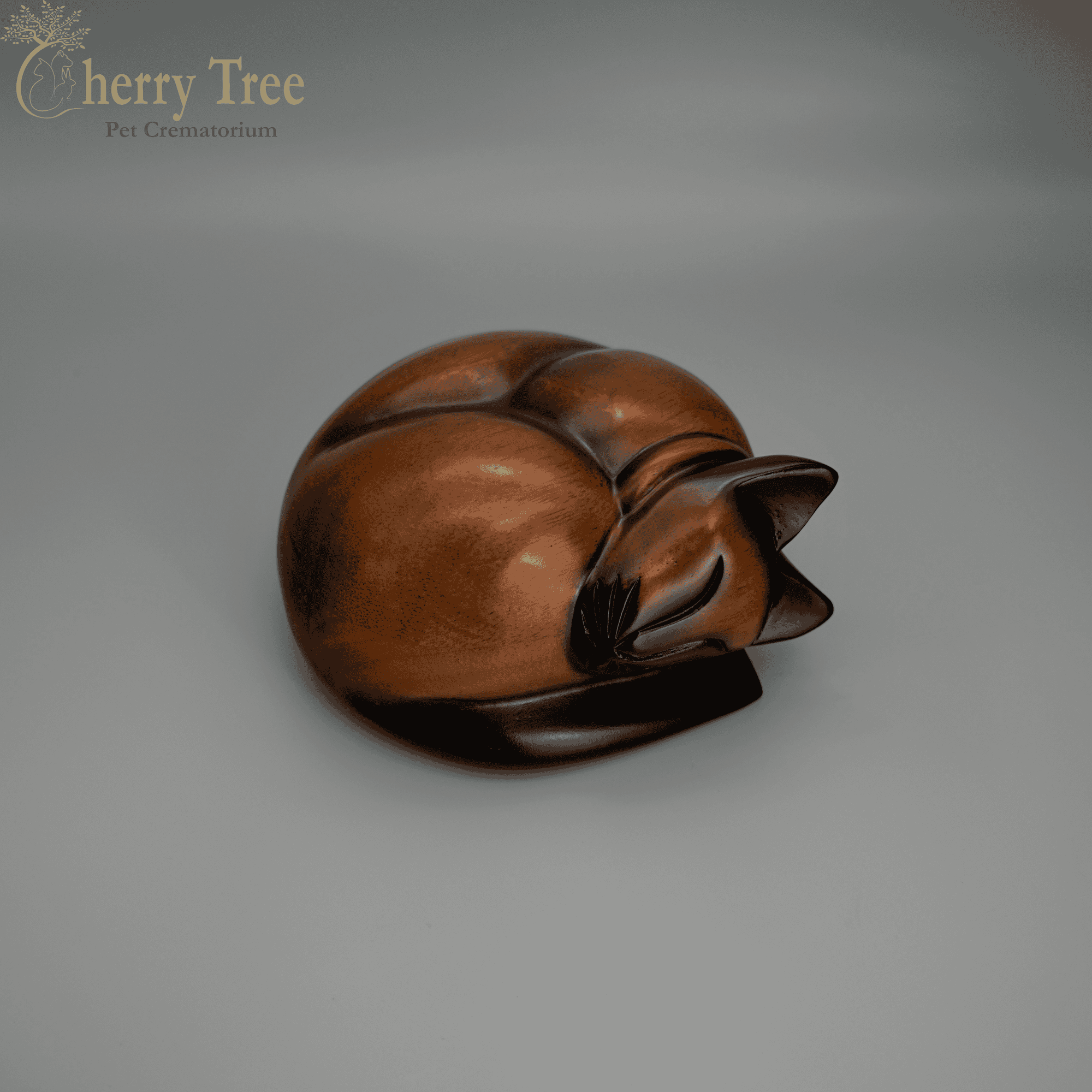 Carved Sleeping Cat (Colour Point)