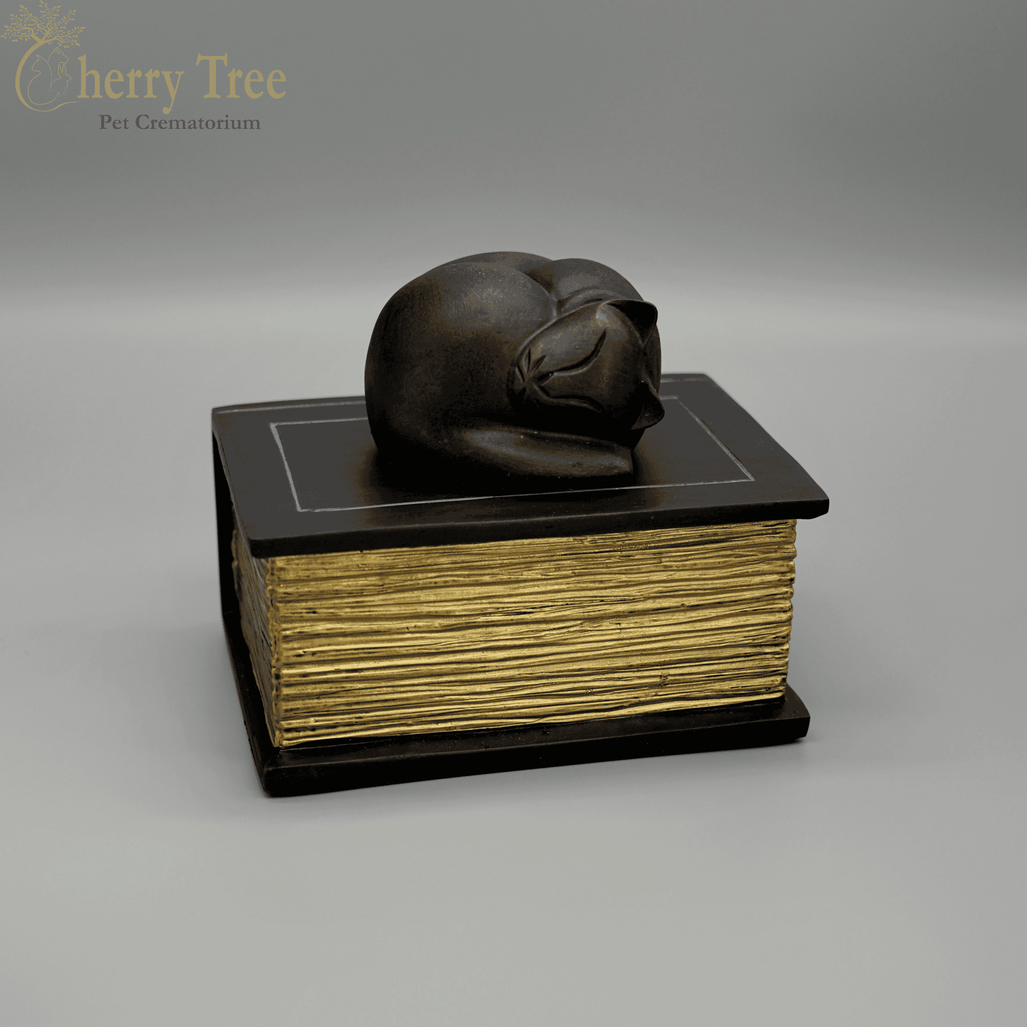 Cat on a Book