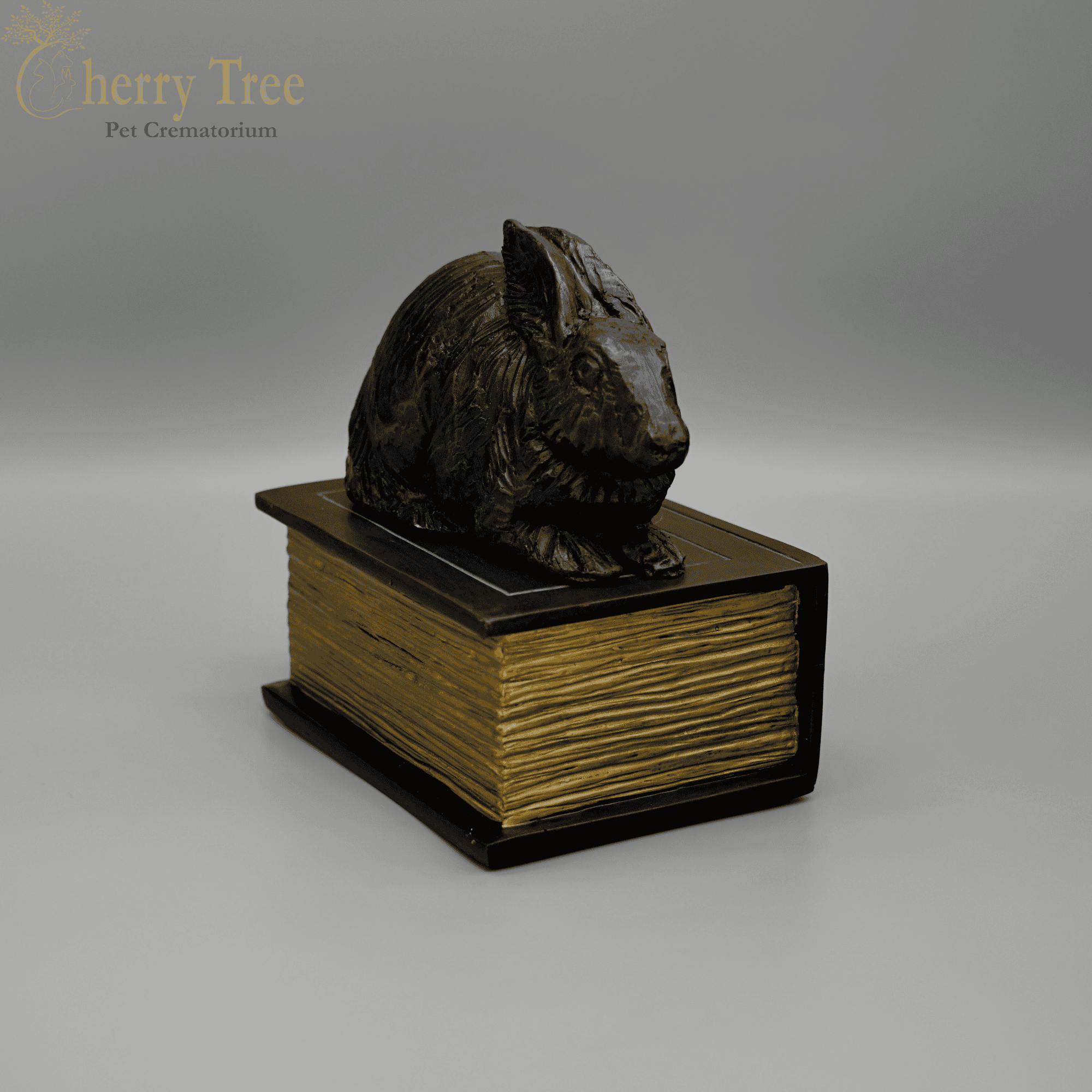 Rabbit on a Book