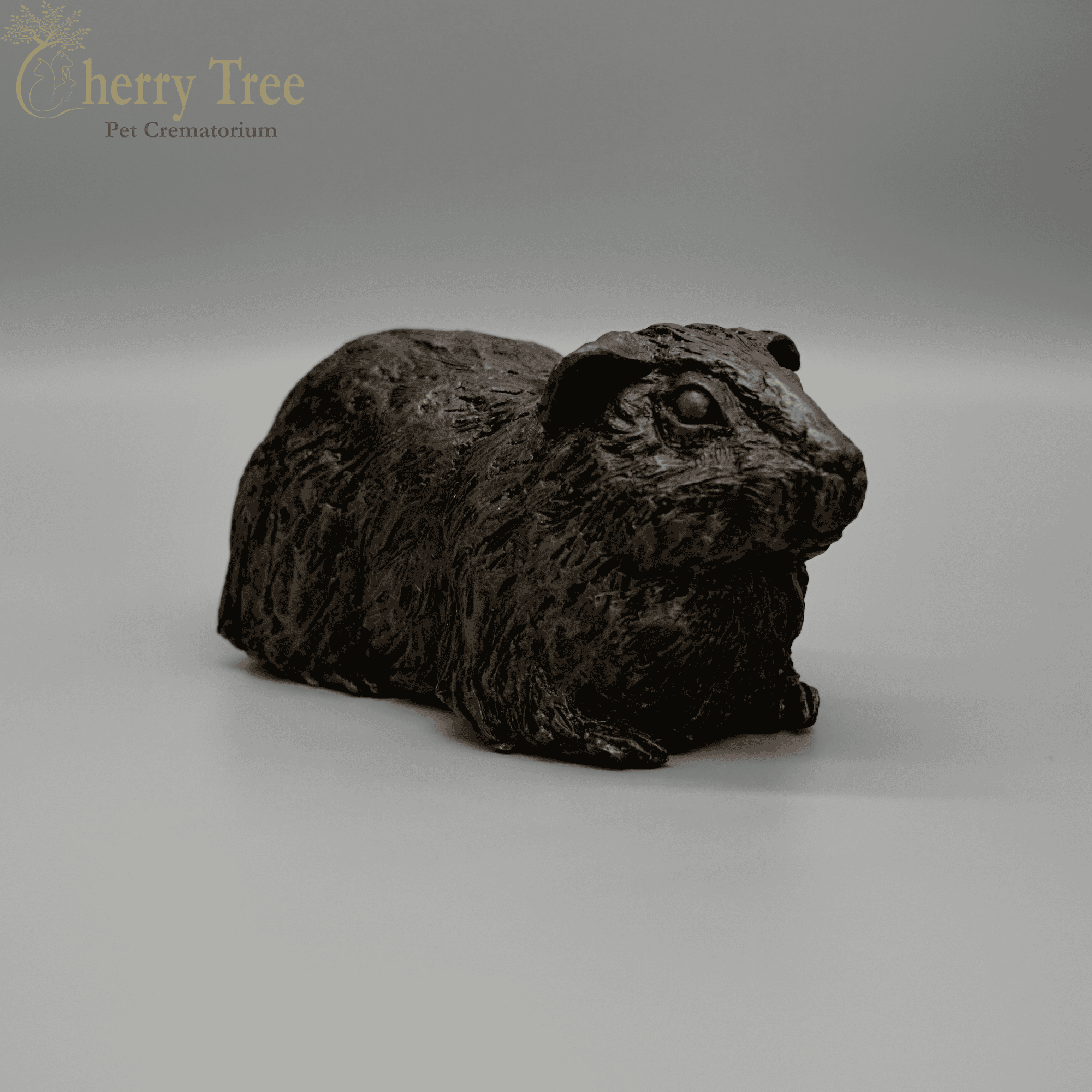 Cast Guinea Pig