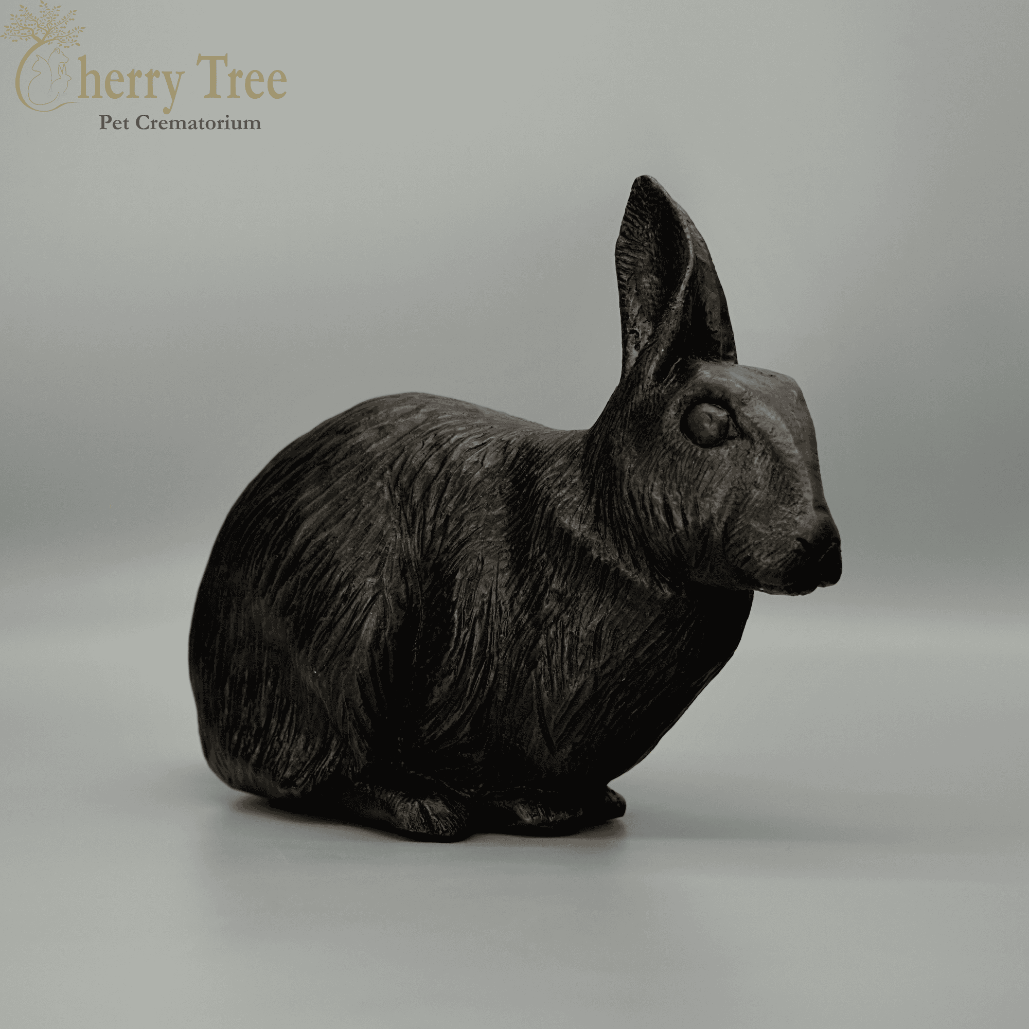 Cast Rabbit