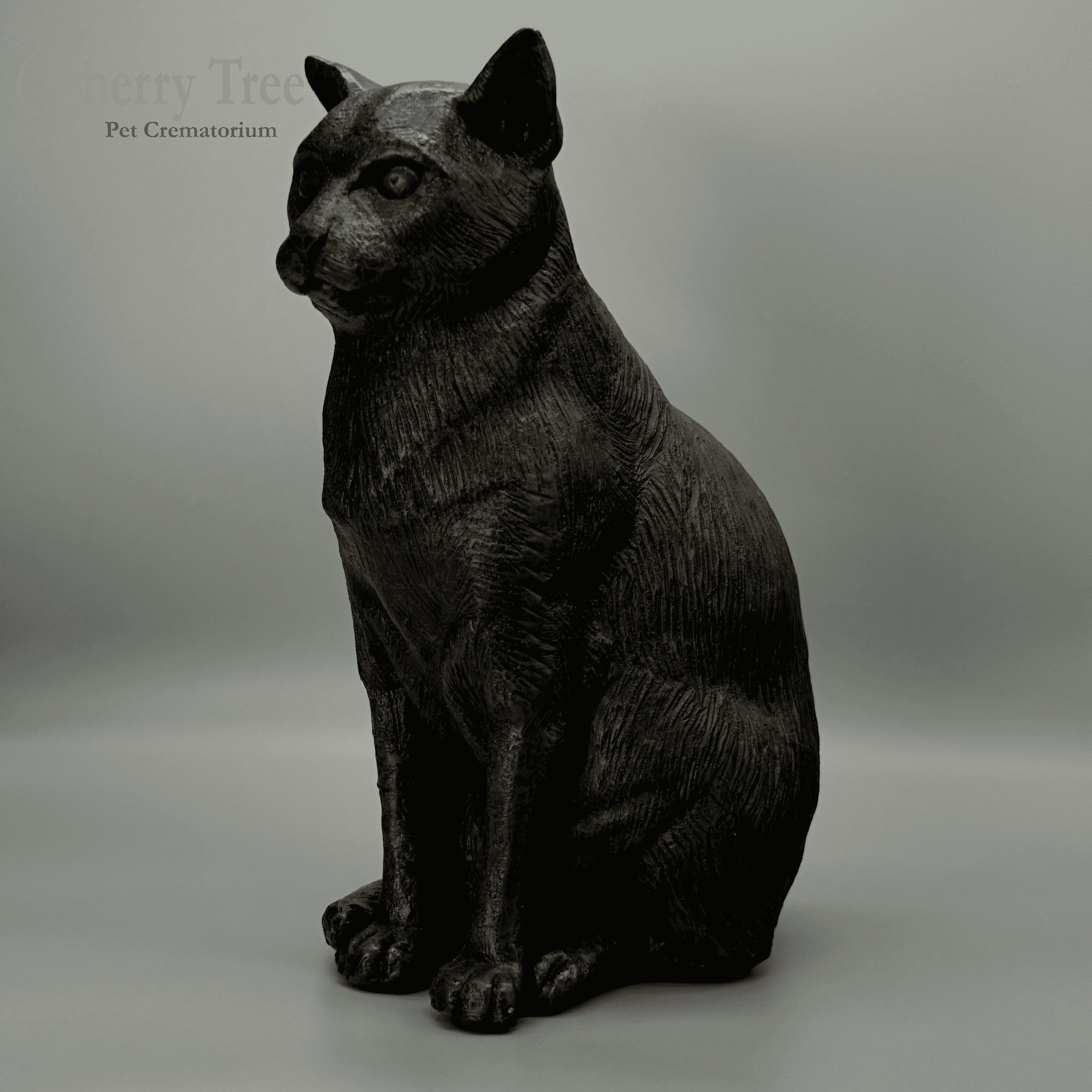 Cast Sitting Cat