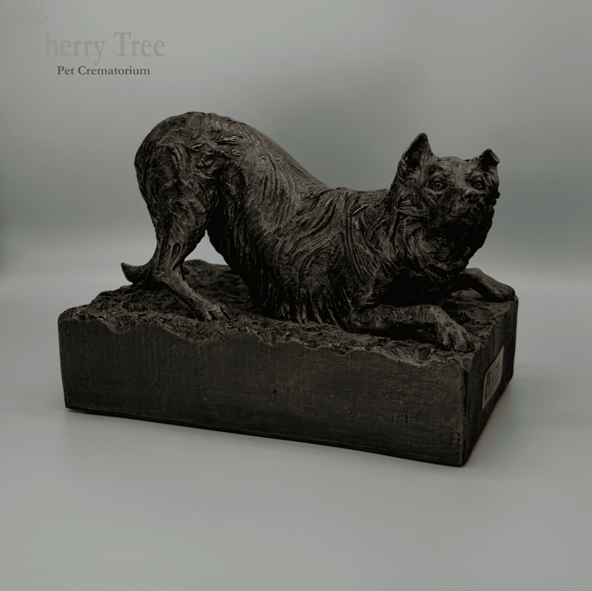 Cast Border Collie (Plinth)