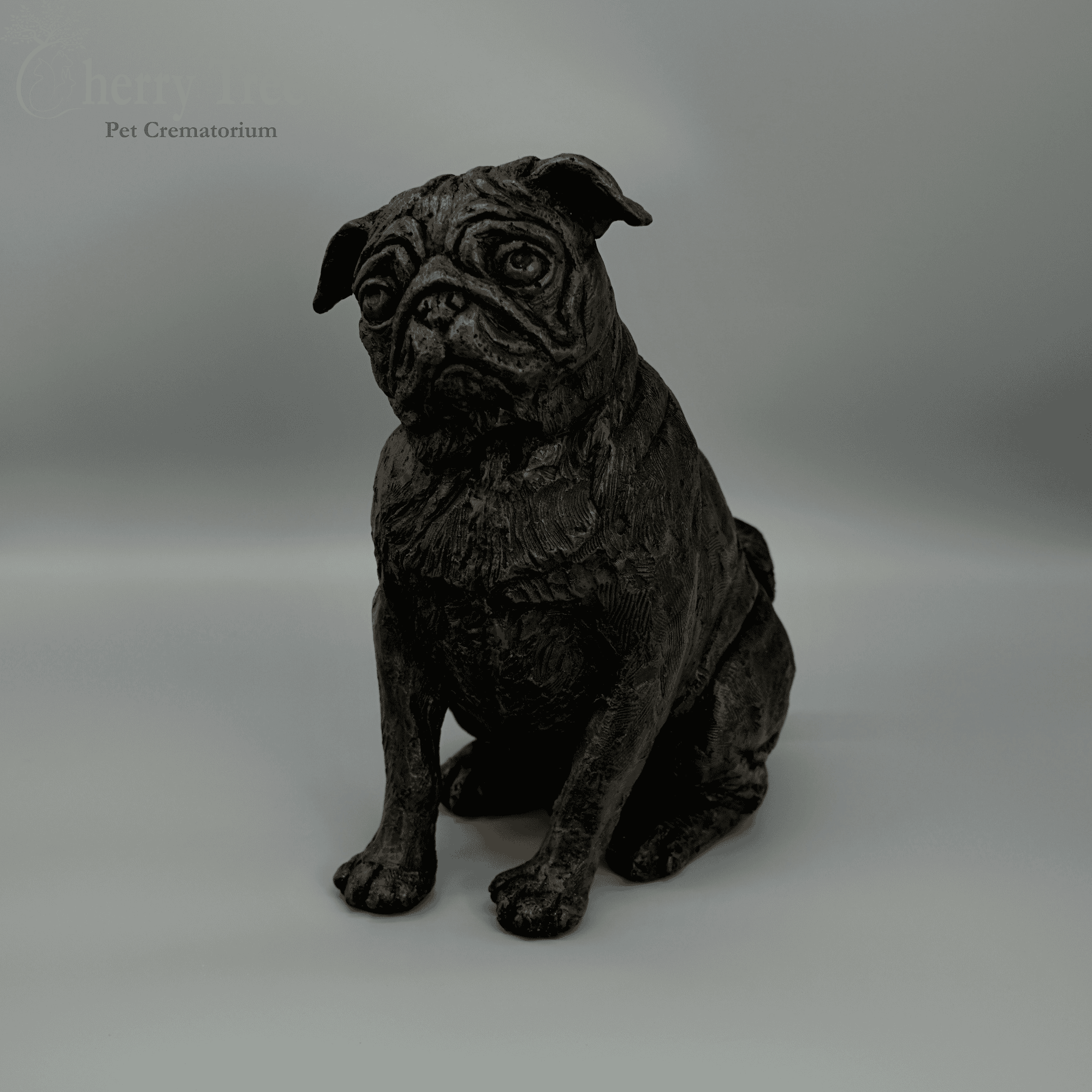 Cast Pug