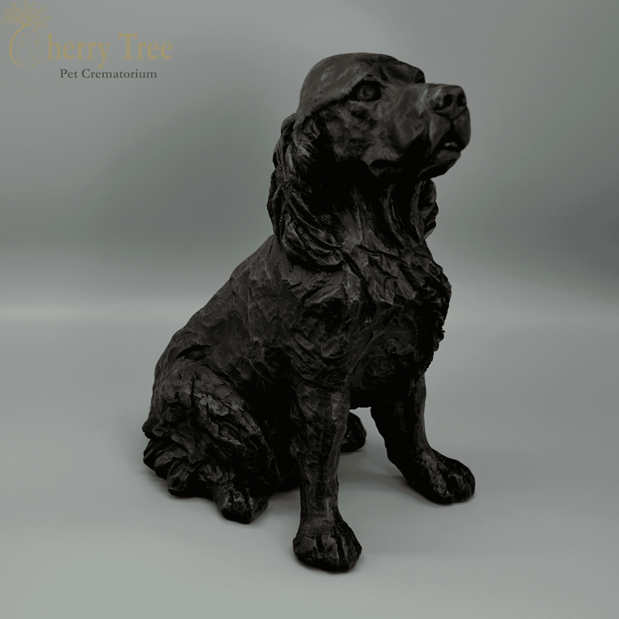 Cast Cocker Spaniel