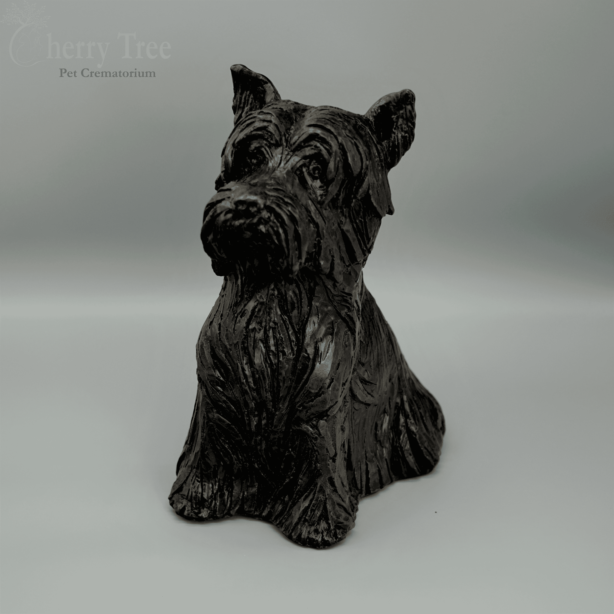 Cast Yorkshire Terrier