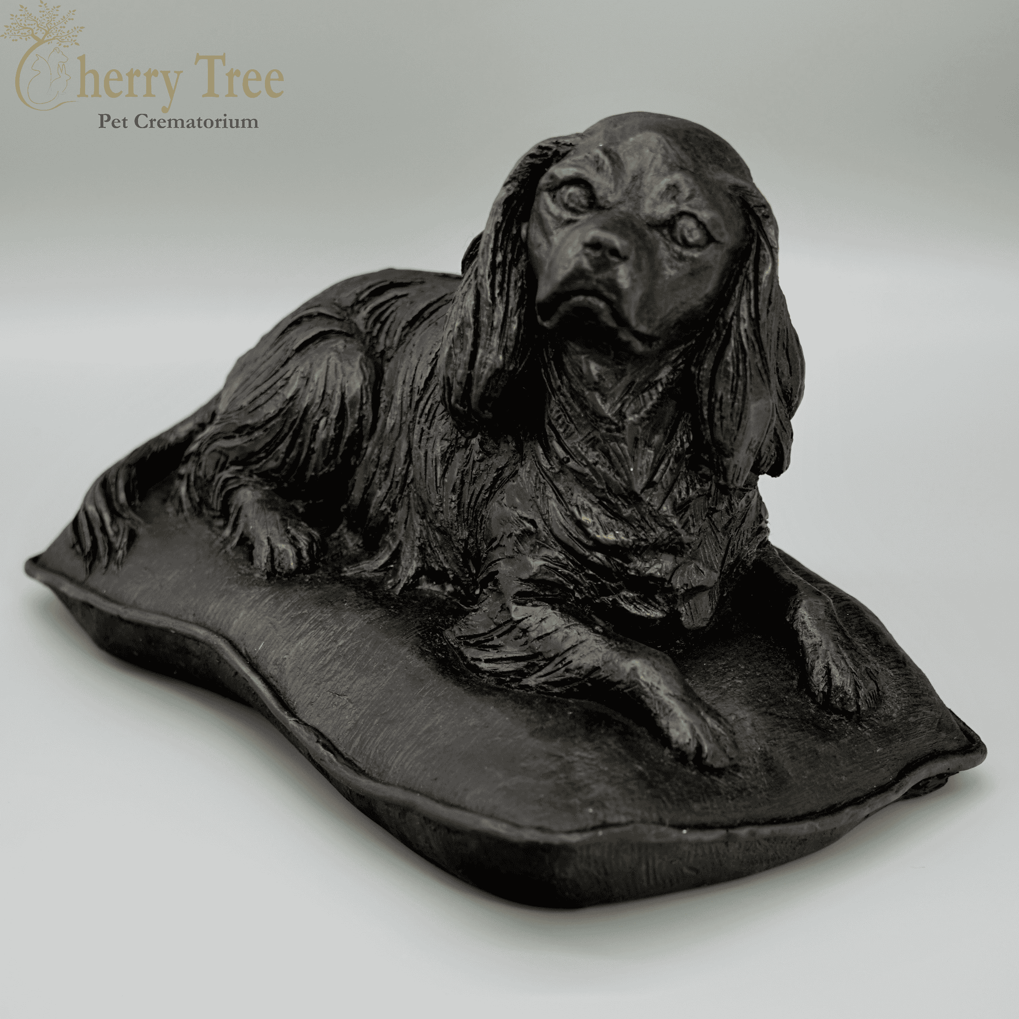 Cast Cavalier King Charles Spaniel