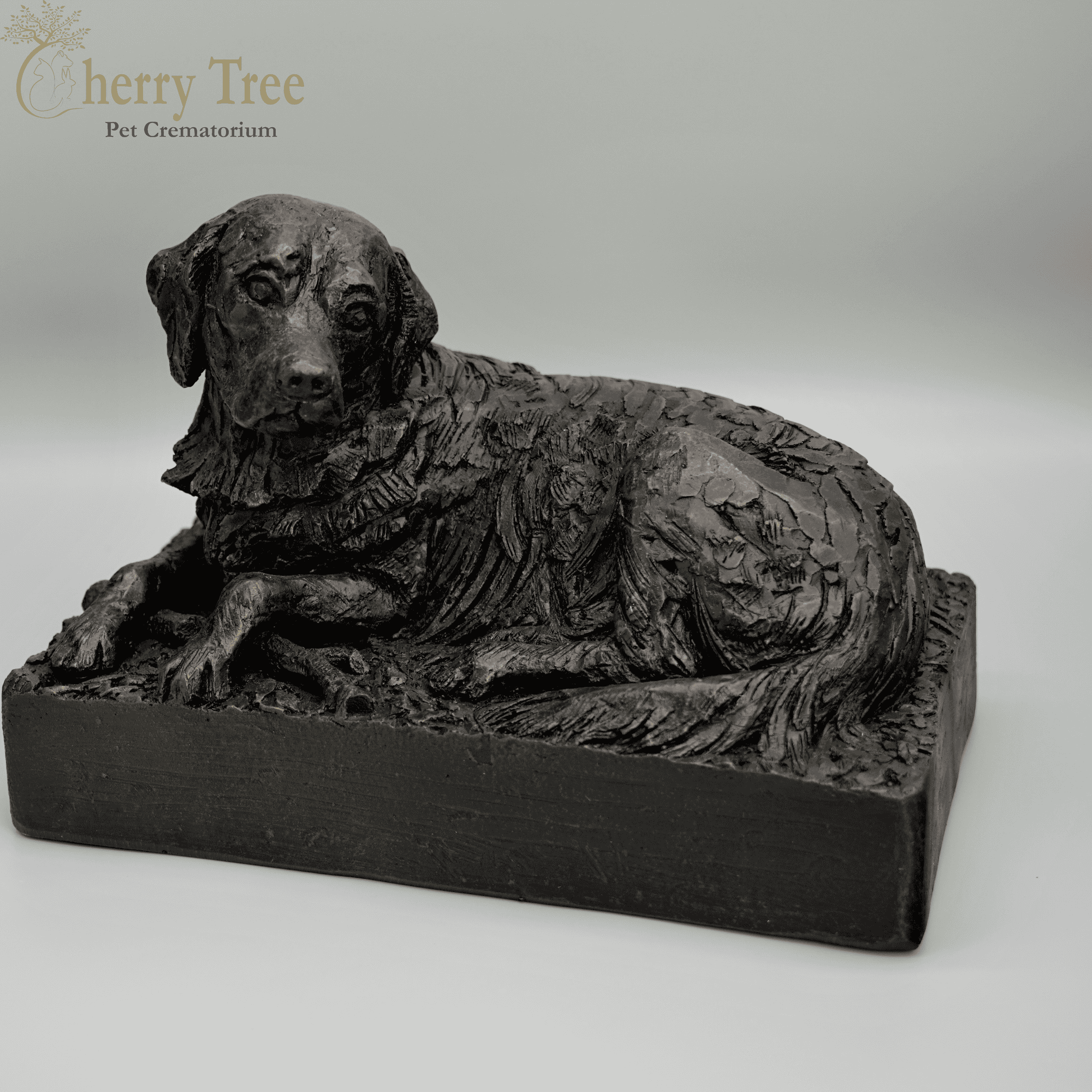 Cast Golden Retriever