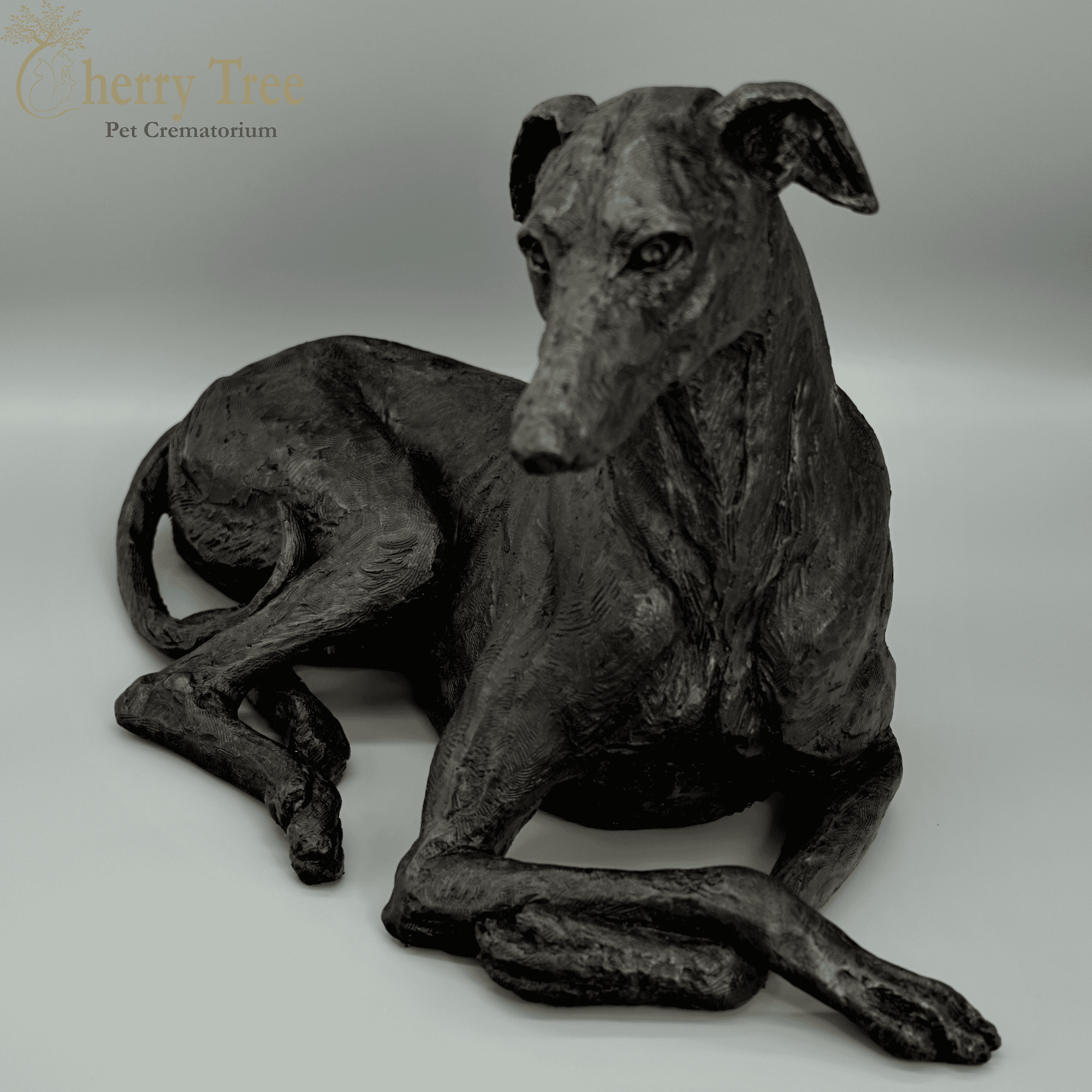 Cast Greyhound