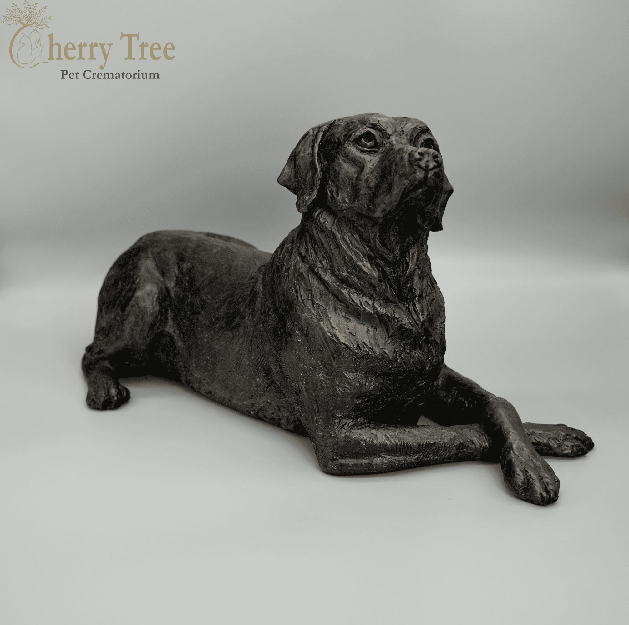 Cast Labrador
