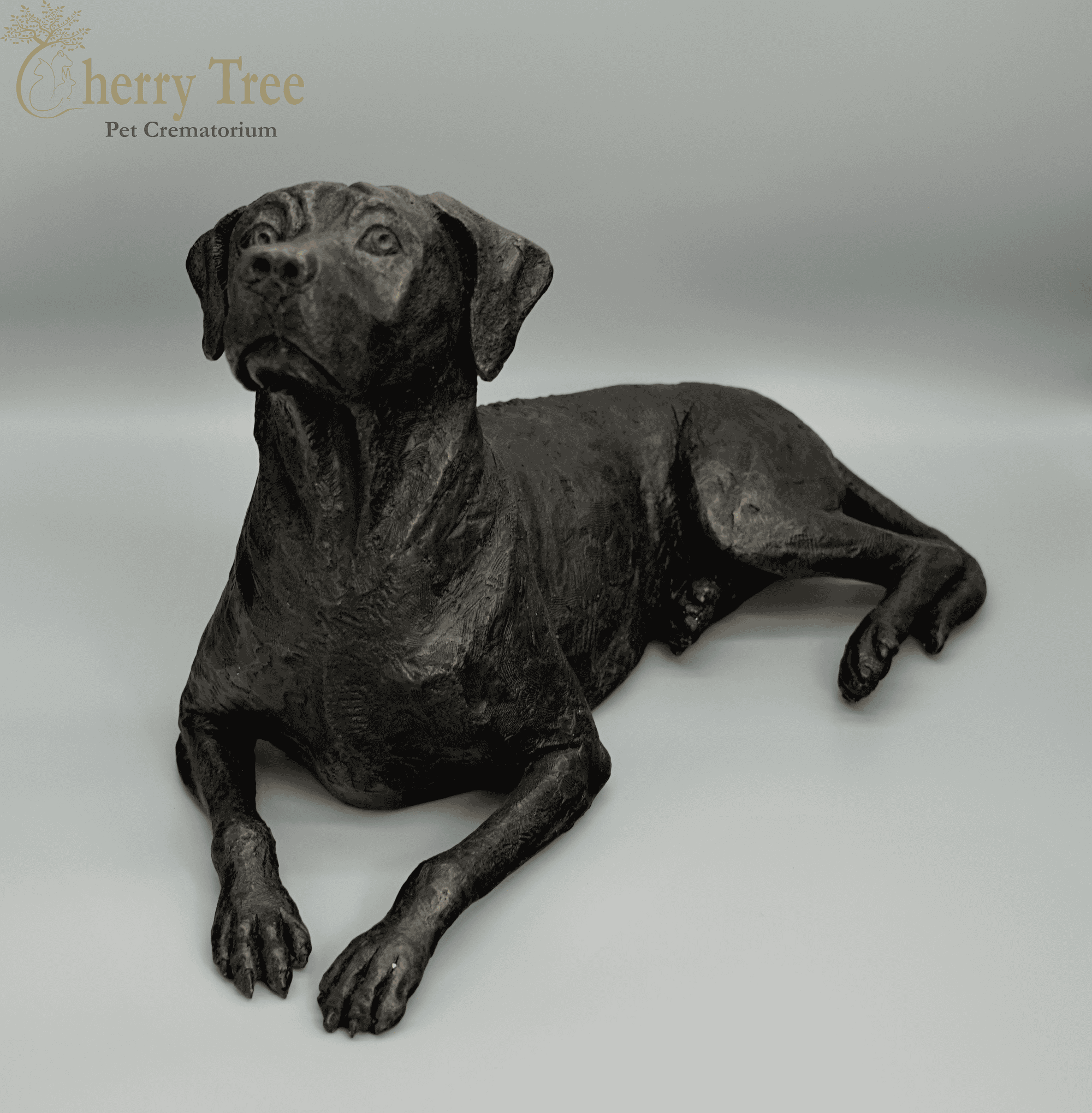 Cast Rhodesian Ridgeback