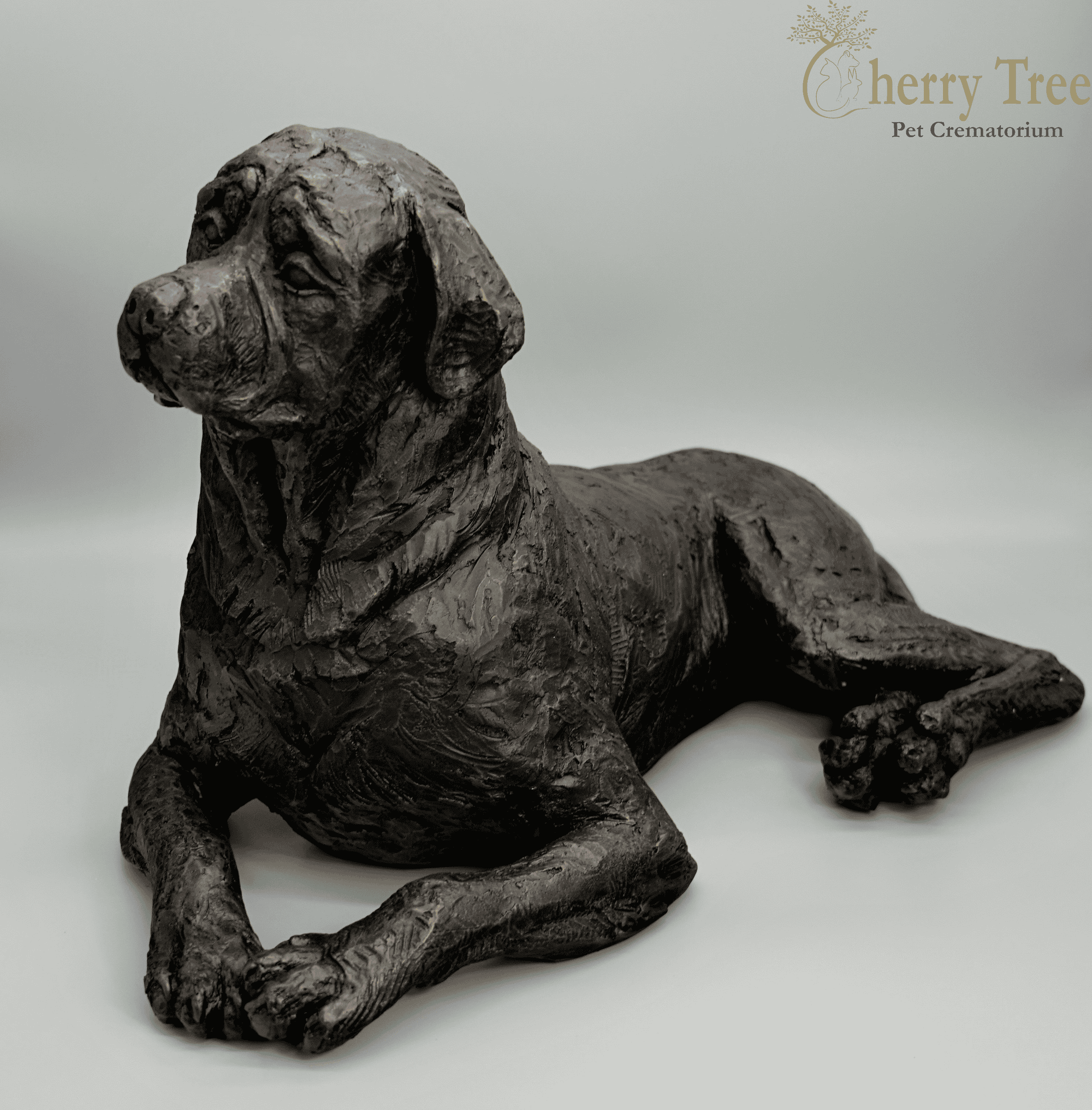 Cast Rottweiler