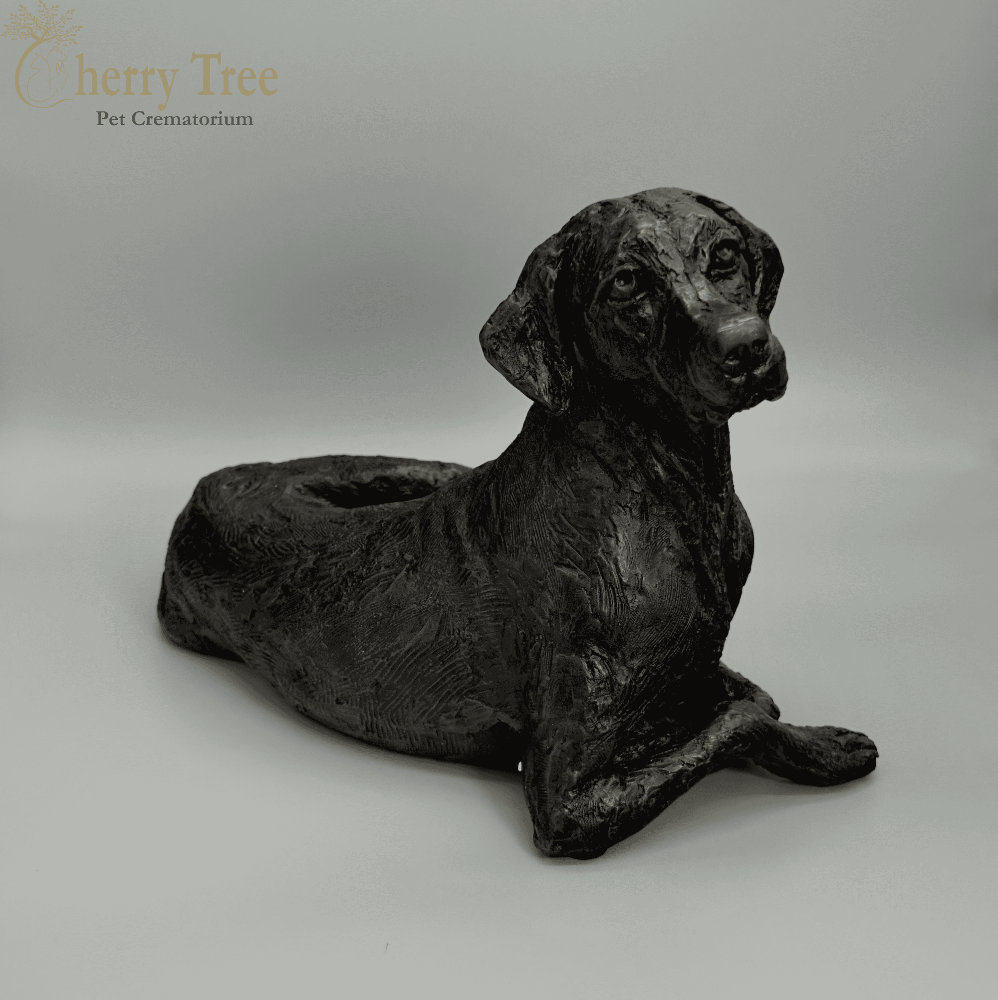 Cast Pointer