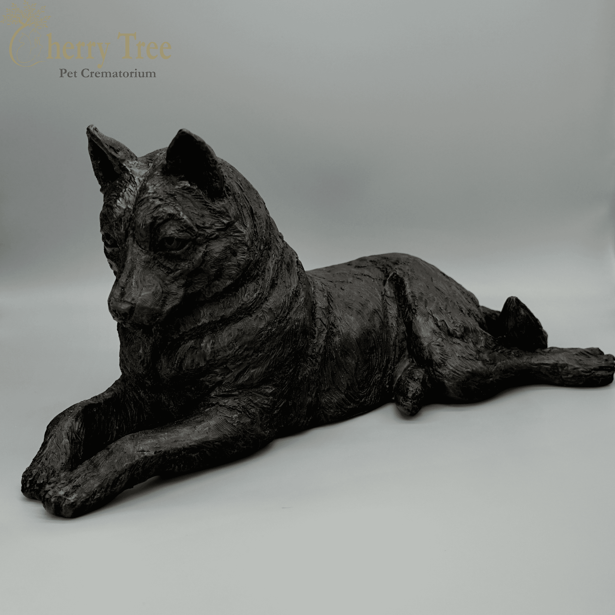 Cast Husky
