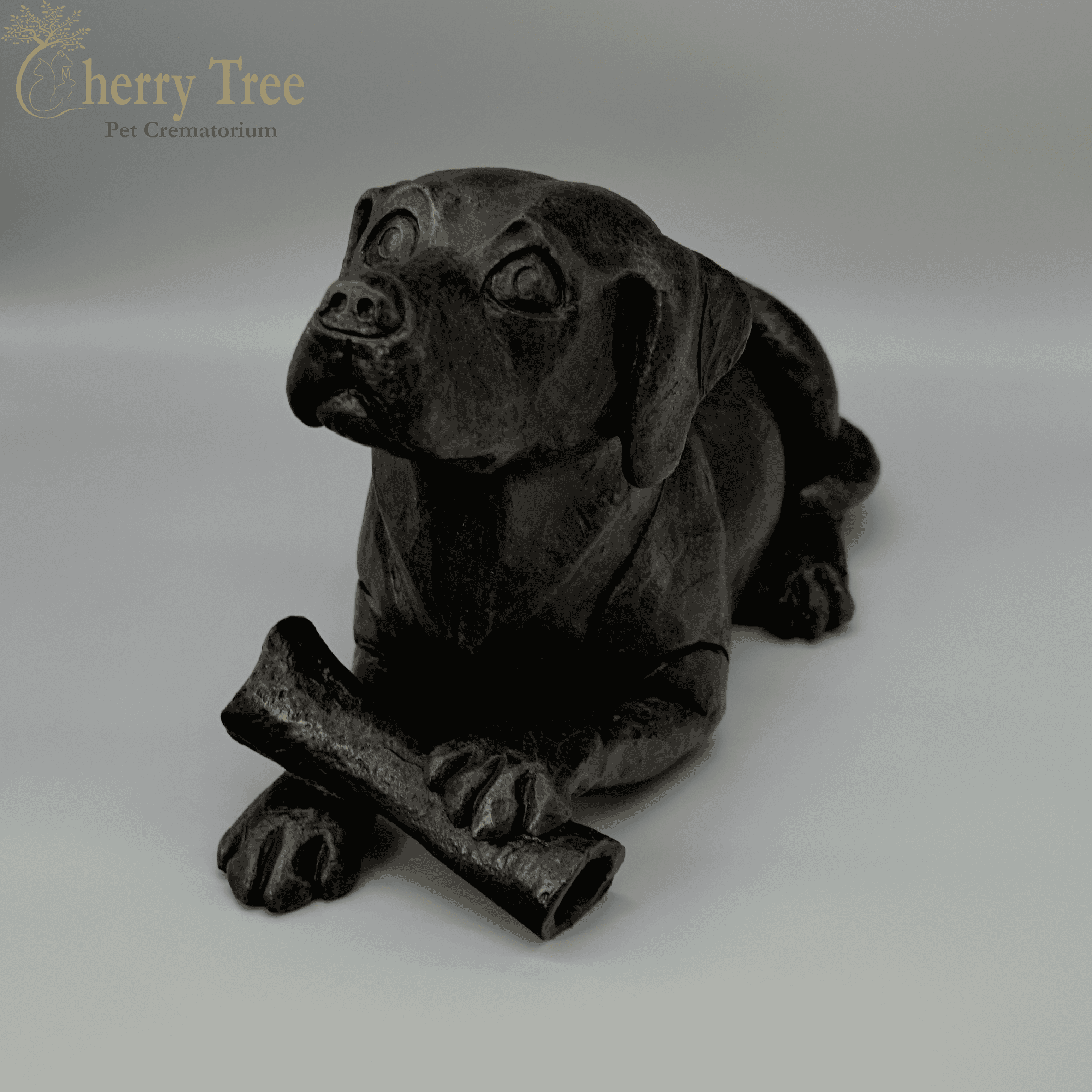 Cast Dog With A Bone