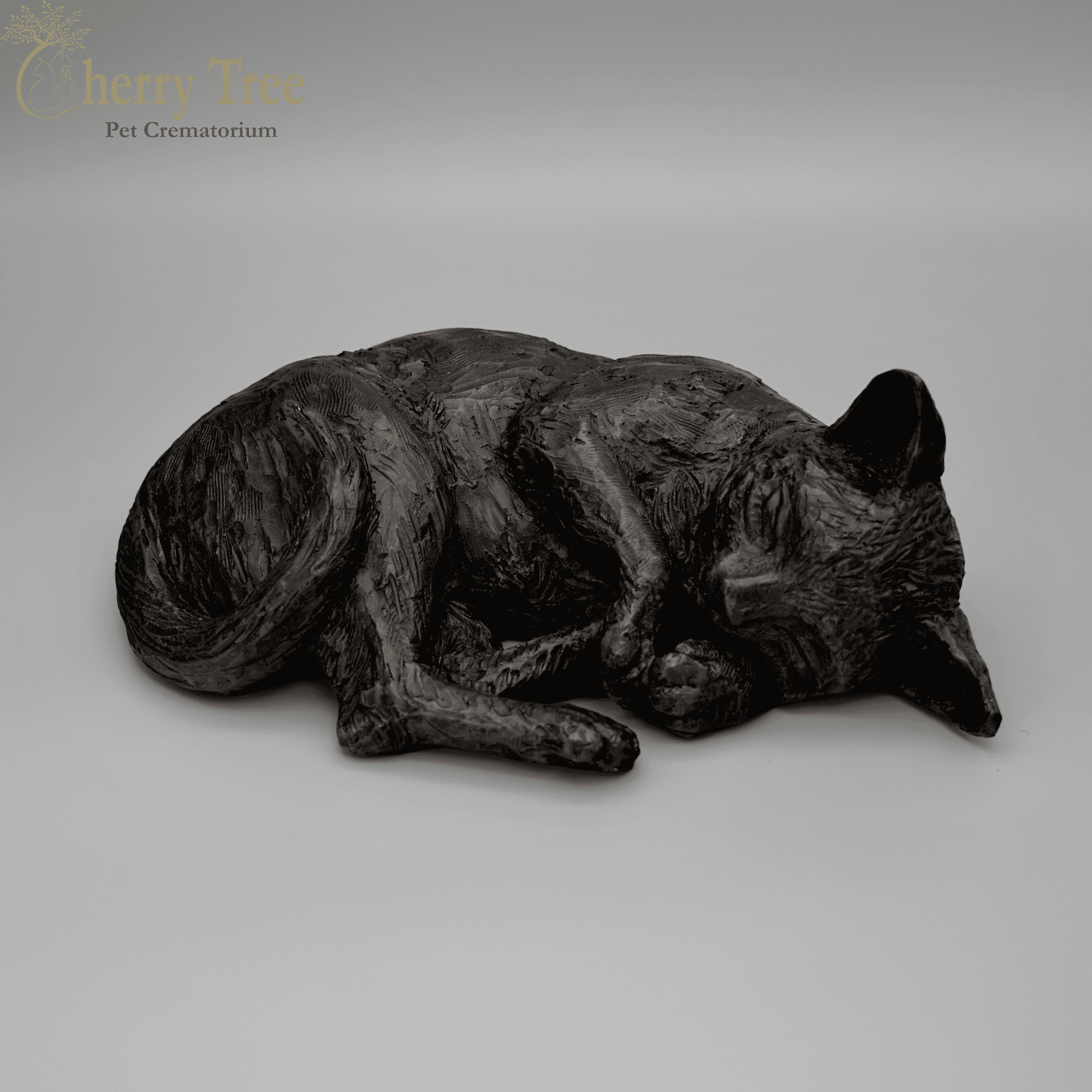 Cast Resting Cat