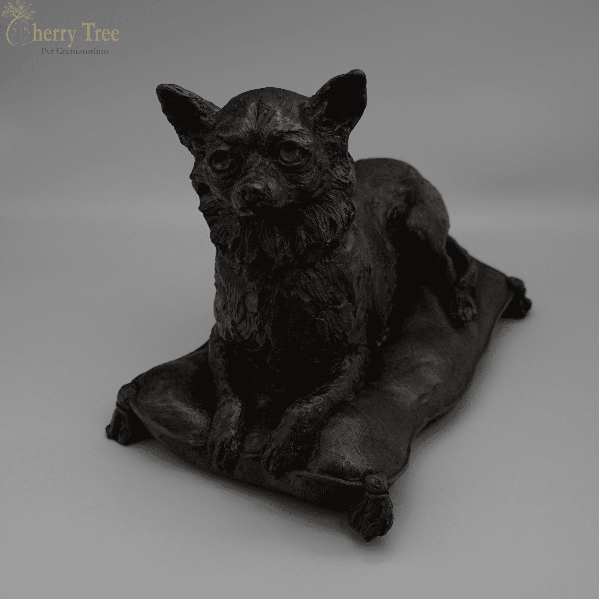 Cast Chihuahua