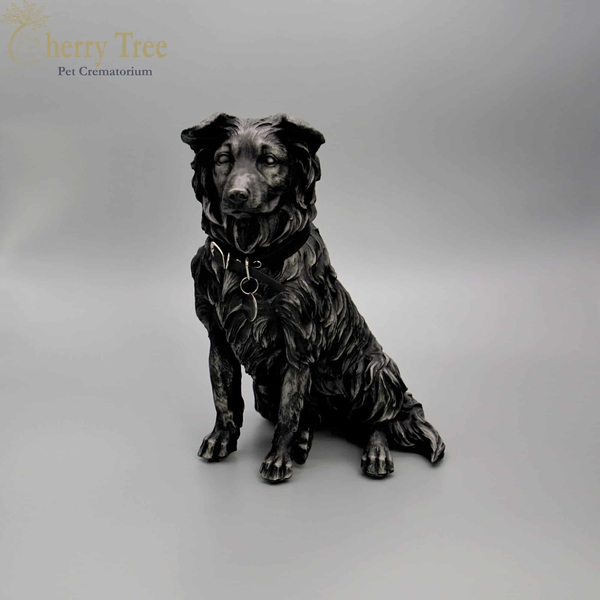 Chilton Cast Collie