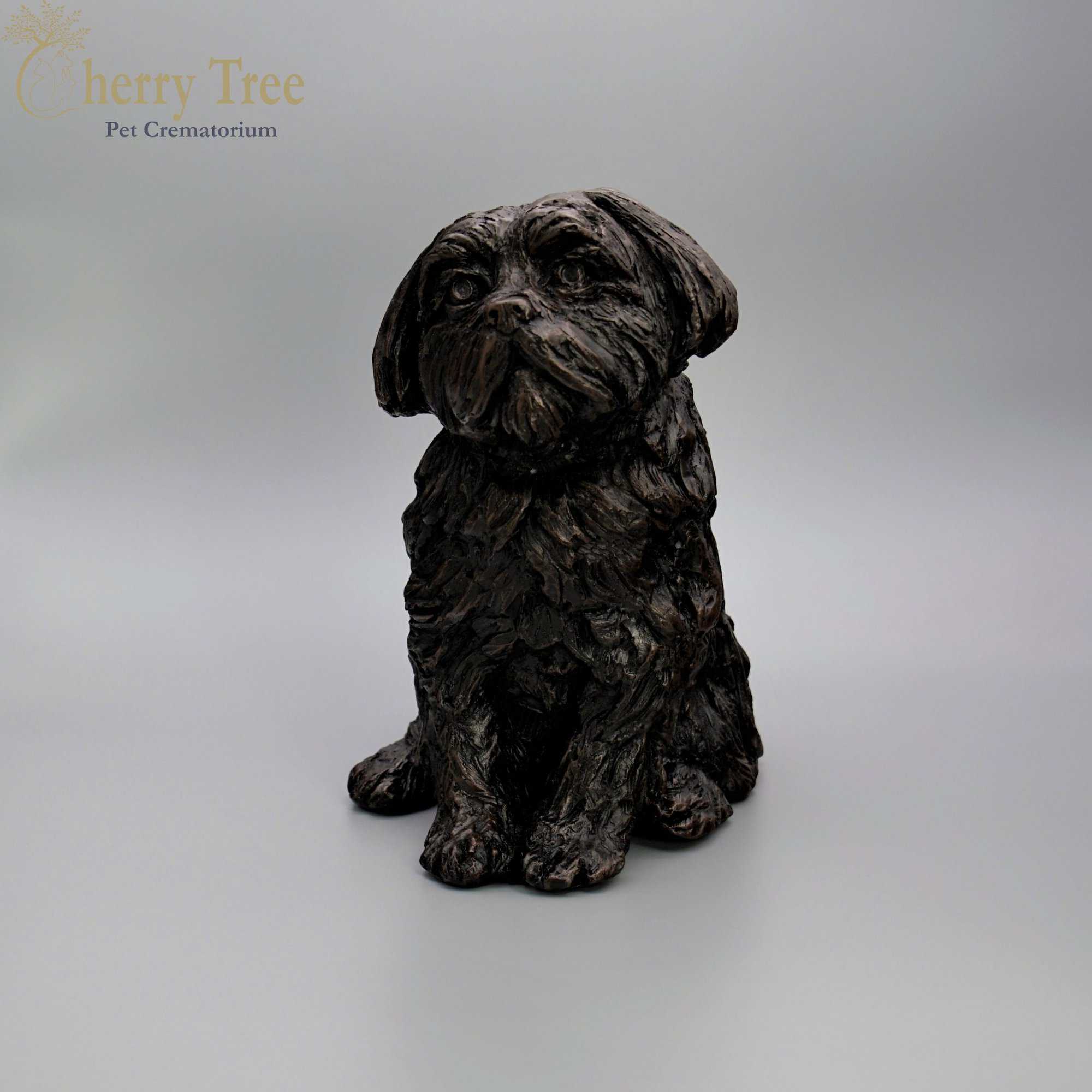 Cast Shih Tzu