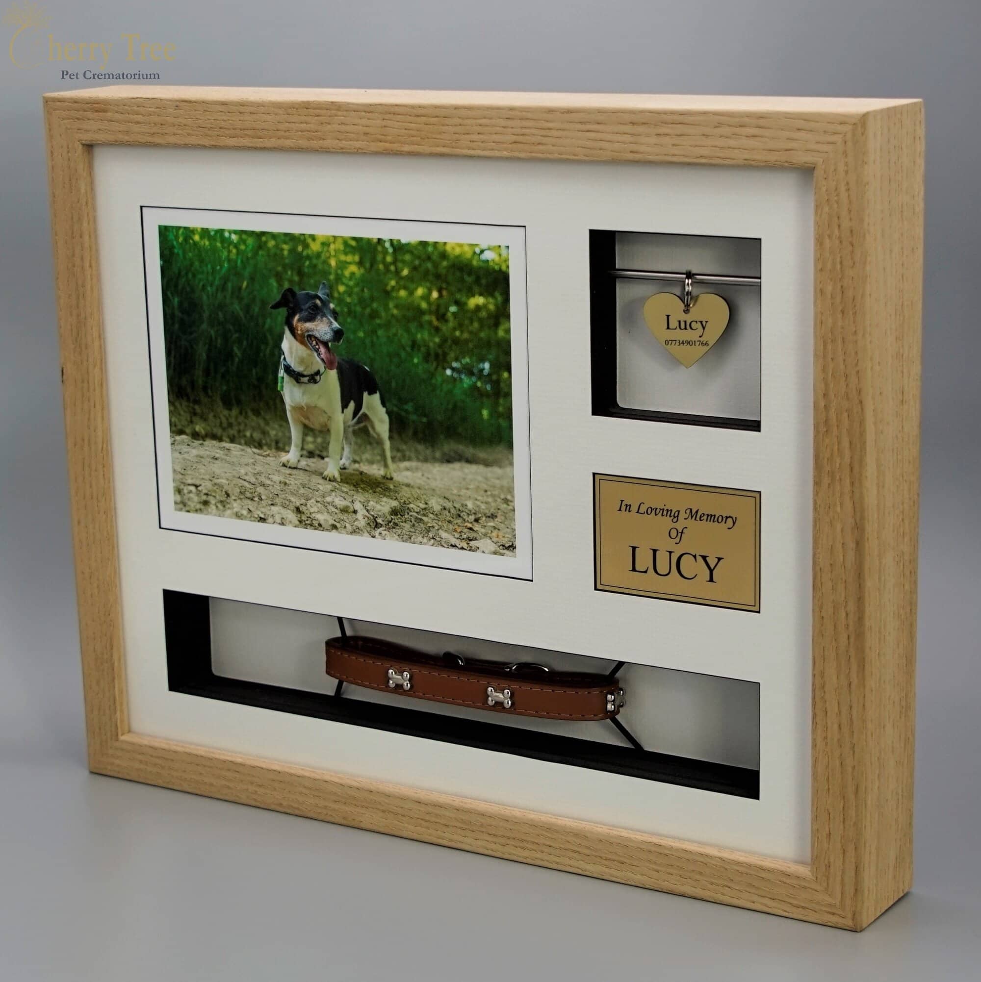 Collar & Tag Frame (Large)