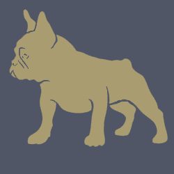 Medium Dog (8kg to under 25kg)