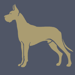 Extra Large Dog (40-60kg)