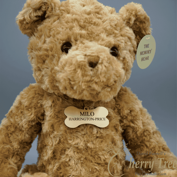 Memory Bear Ribbon 2 Memory Bear Ribbon 2