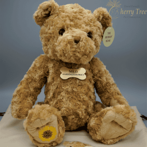 Memory Bear Ribbon 3 Memory Bear Ribbon 3