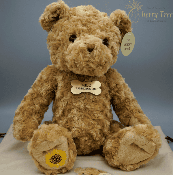 Memory Bear Ribbon 3 Memory Bear Ribbon 3