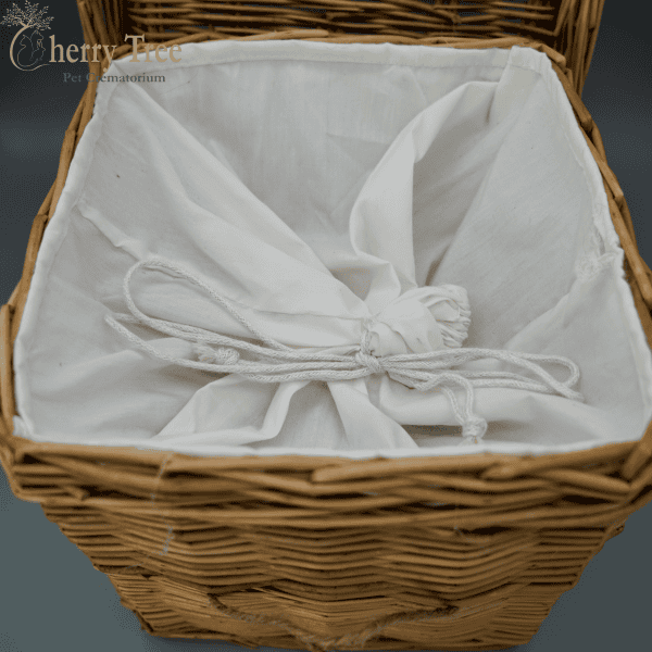 Willow Equine 3 Willow Equine 3