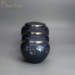 Blue Blenheims 2-1