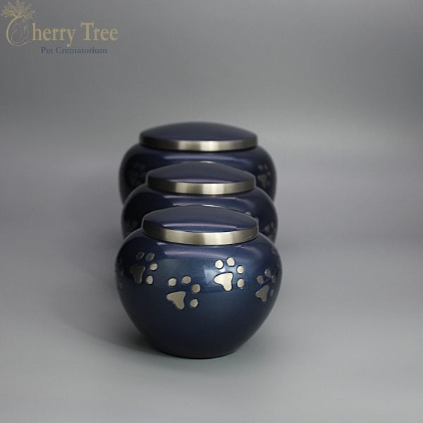 Blenheim Blue & Silver - Image 4