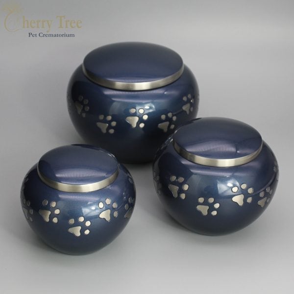 Blenheim Blue & Silver - Image 3