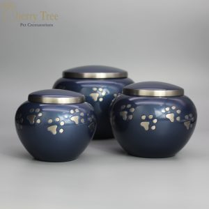 Blue Blenheims 4-1