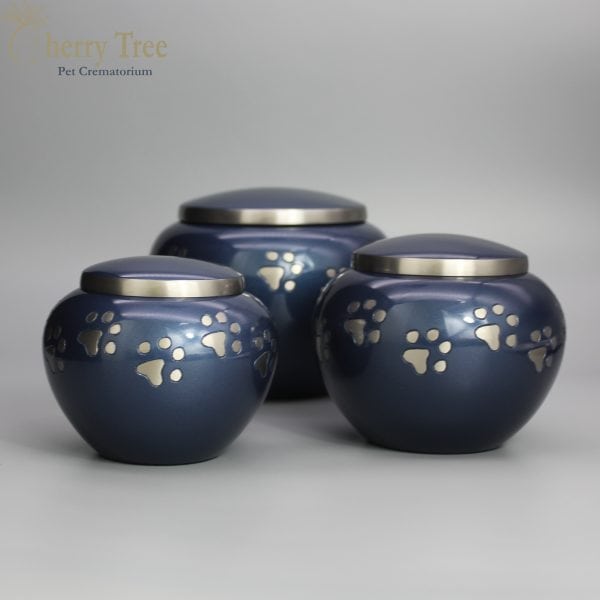 Blenheim Blue & Silver - Image 2