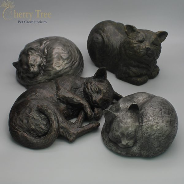 Cast Cats 1-1