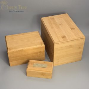 Eco Caskets Together 2