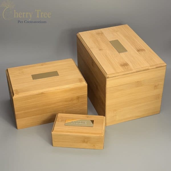 Eco Caskets Together 4